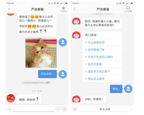 網(wǎng)易七魚智能客服 網(wǎng)絡技術服務背后的電商守護者